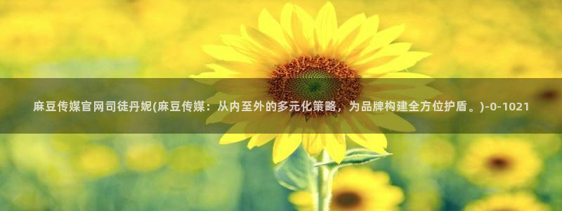 91麻豆传媒官网：麻豆传媒官网司徒丹妮(麻豆传媒：从内至外的多元化策略，为品牌构建全方位护盾。)