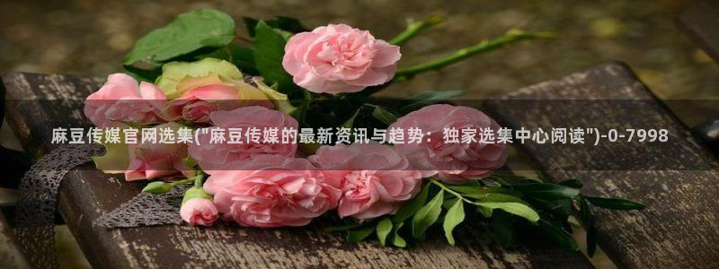 官网麻豆传媒视频：麻豆传媒官网选集(\