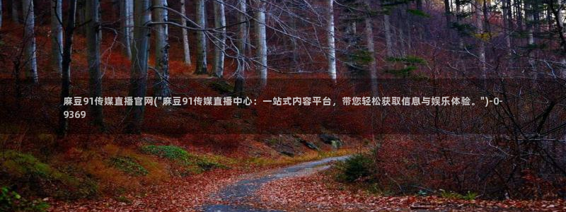 麻豆啊传媒官网