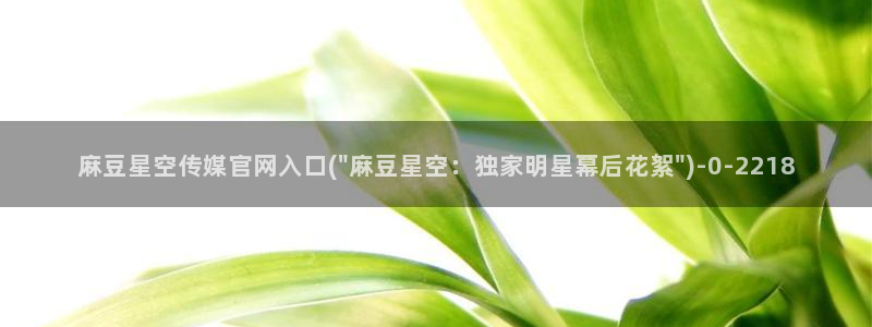国货之光麻豆传媒官网：麻豆星空传媒官网入口(\