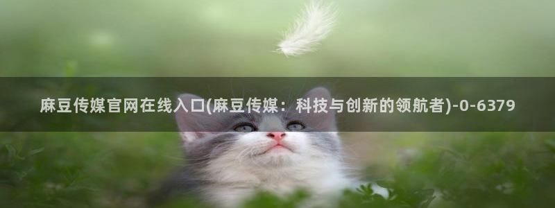 麻豆豆传媒官网：麻豆传媒官网在线入口(麻豆传媒：科技与创新的领航者)