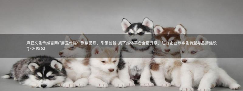 麻豆原创传媒官网：麻豆文化传媒官网(\