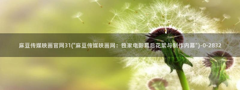 麻豆传媒福利官网：麻豆传媒映画官网31(\