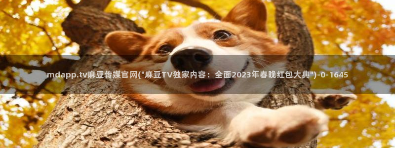 麻豆传媒官网番号：mdapp.tv麻豆传媒官网(\