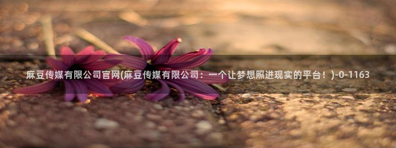 麻豆眏画传媒官网：麻豆传媒有限公司官网(麻豆传媒有限公司：一个让梦想照进现实的平台！)
