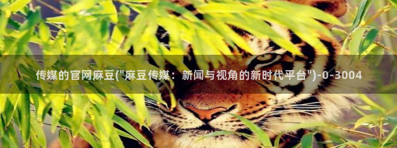 麻豆国产传媒官网